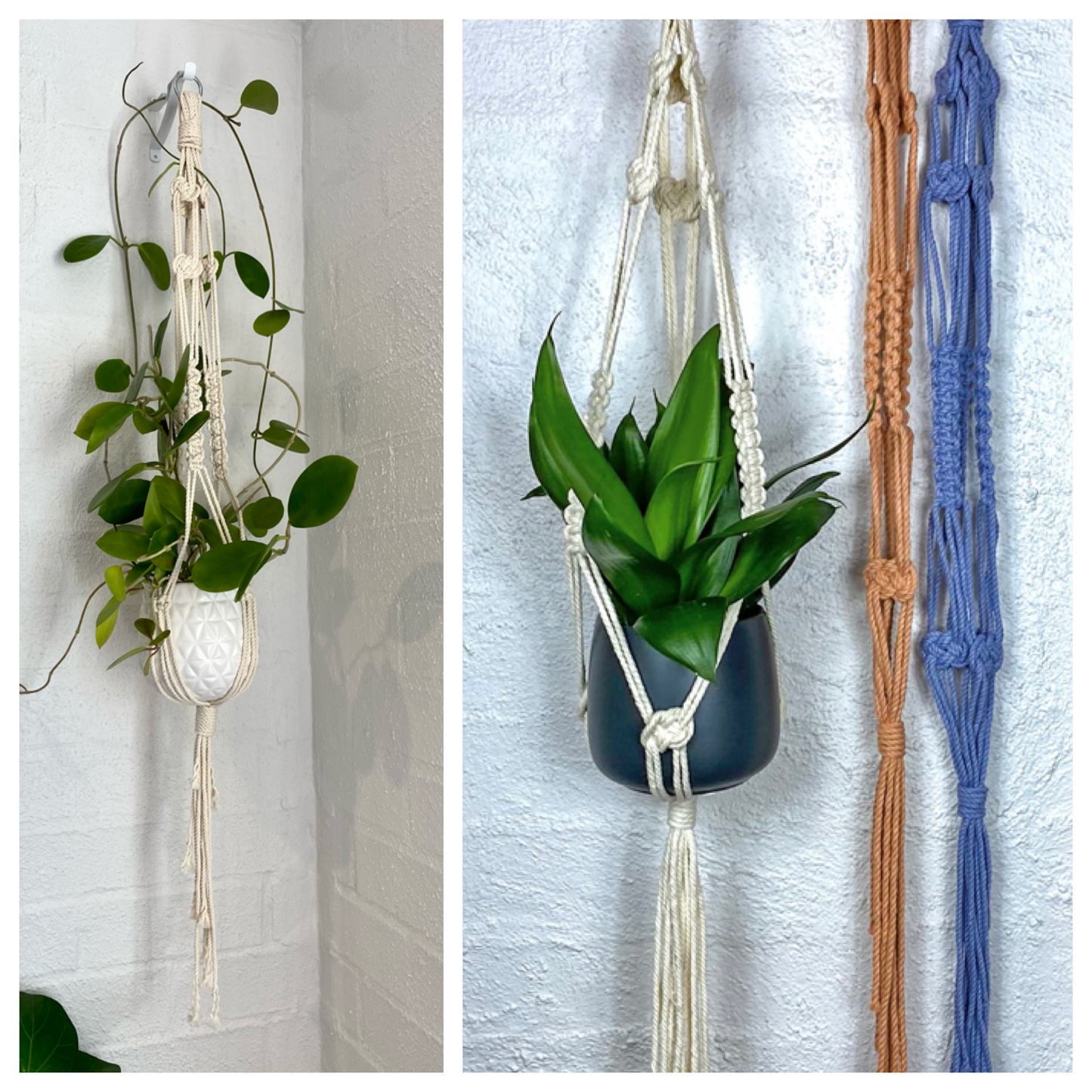 Jasmine - Plant Hanger