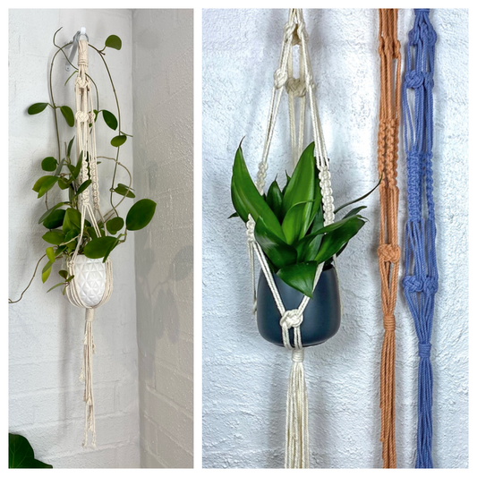 Jasmine - Plant Hanger