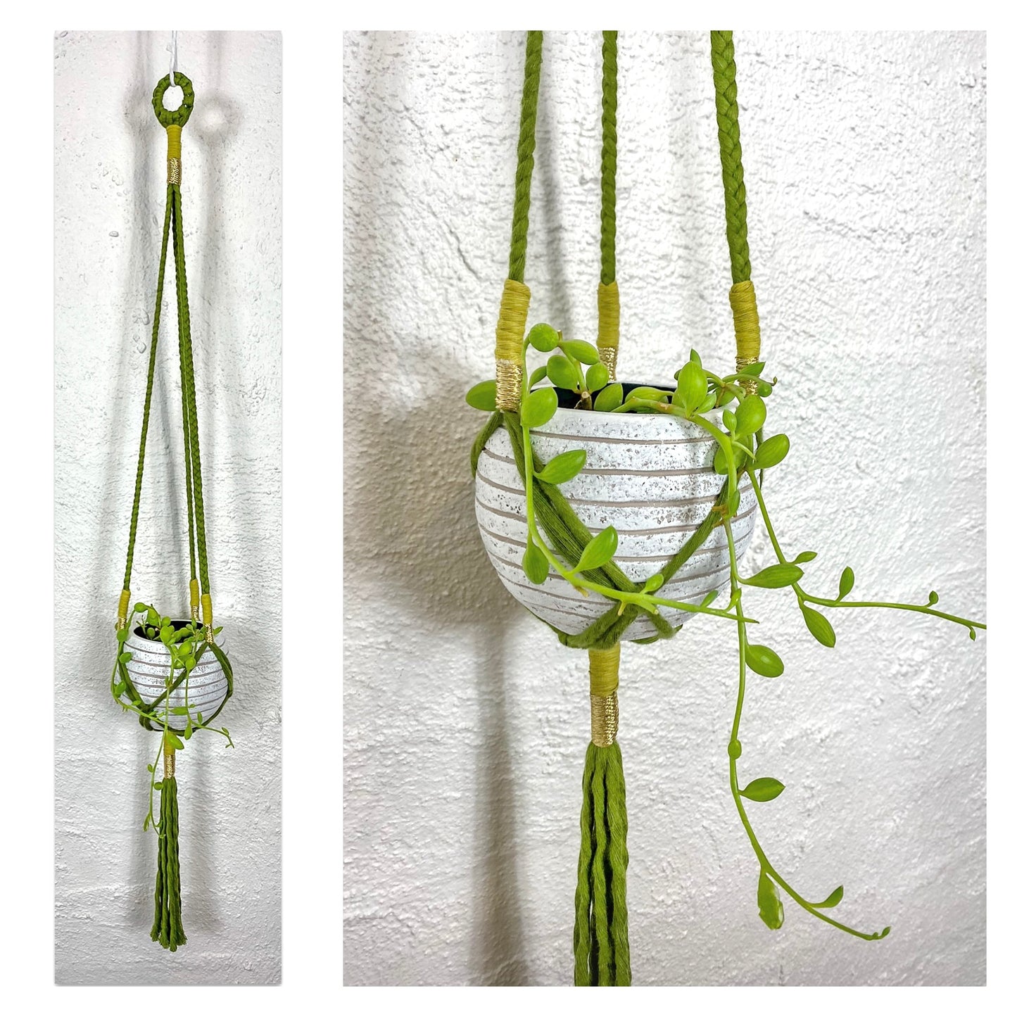 Ivy - Plant Hanger